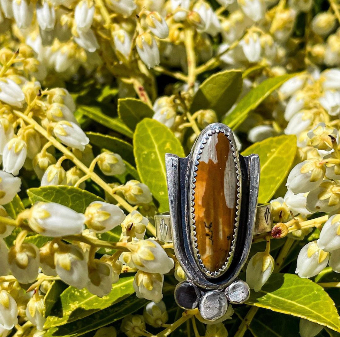 Owyhee Picture Jasper Ring (Size 9)