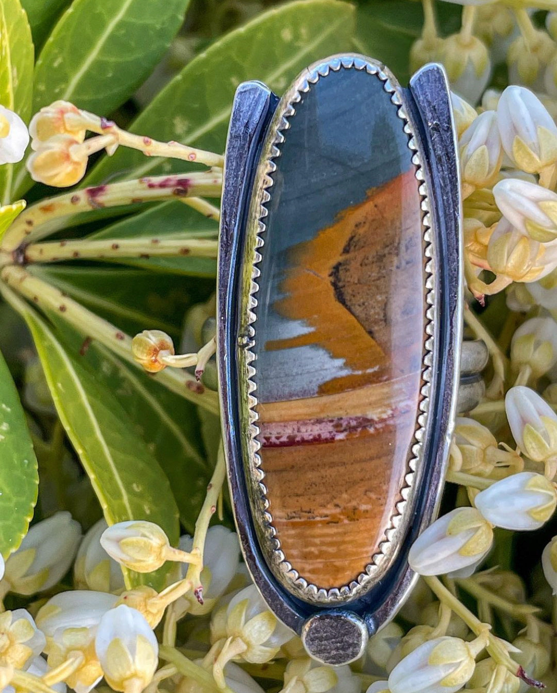 Owyhee Picture Jasper with Sterling Silver Double Band