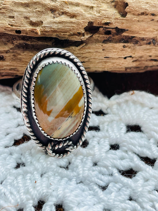 Sterling Silver ring set with Petrified Bogwood (Size 8)
